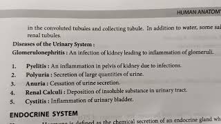 Diseases Of Urinary SystemGlomerulomephritisPyelitisAnuriaCystitiswith Vivek [upl. by Negriv767]