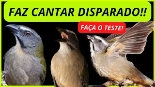 🔴 FAZ CANTAR DISPARADO 🔥 FAÇA O TESTE ✅ Trinca Ferro Cantando [upl. by Robinia161]