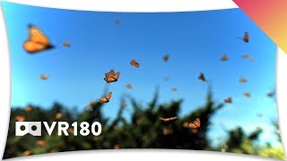 Mexico’s Monarch Butterfly Migration in VR180 [upl. by Aerdnaed892]