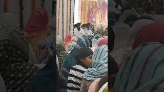 charan kamal tere dhoye dhoye piva mere satguru din dayala🙏🙏gurdwarasahibwahegurusimranviralvideo [upl. by Turtle]