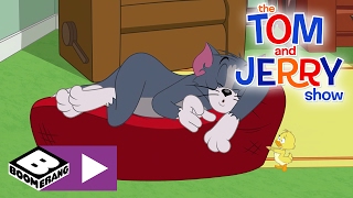 Tom i Jerry Show  Lunatyk  Cartoonito [upl. by Llevrac334]