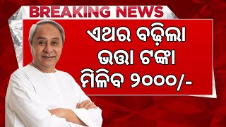 Madhu Babu Pension Yojana Apply In Online 2024  How to apply online Madhu Babu Pension Yojana [upl. by Asirak370]