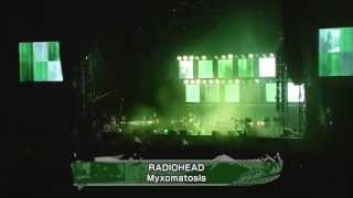 Radiohead  Myxomatosis HD Live Fuji Rock Festival 2012 [upl. by Thgiled]