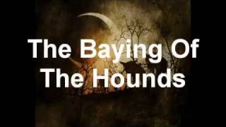 Opeth  The Baying Of The Hounds VST cover [upl. by Maurili]