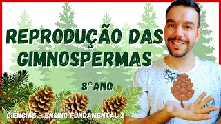 CICLO REPRODUTIVO DAS GIMNOSPERMAS  8° ano  Aula completa  CIÊNCIAS 2021  Ensino fundamental 2 [upl. by Calvin]