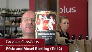 Grosses Gewächs  Nachproben 2023  Pfalz und Mosel Riesling Teil 2 [upl. by Atnauq]