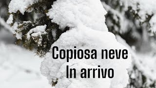 ABBONDANTE NEVE IN ARRIVO [upl. by Inar]