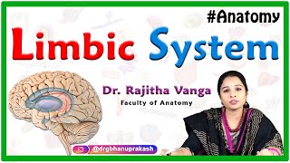 Limbic system Anatomy  Cortical component Subcortical components Circle of Papez [upl. by Demah]