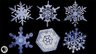 The Science of Snowflakes [upl. by Arihsay881]