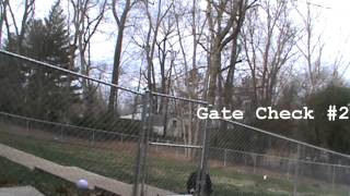 Bernese Mountain dog jumps fence [upl. by Hillman]