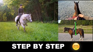 HOW TO RIDE A HORSE FOR BEGINNERS STEP BY STEP 🐎 [upl. by Davies513]