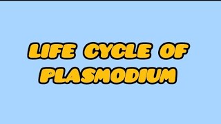 Life cycle of plasmodium vivaxhsa natural sciencelife cycle of plasmodium psc malayalam [upl. by Hills]