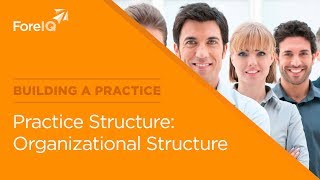 Organizational structure for consulting companies [upl. by Tini888]