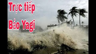 bieu map vlog truc tiep Bao Yagi chieu 79 hai duong 666 [upl. by Fabria]