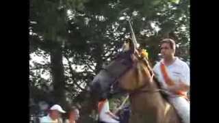 Belgian Draft Horses and Dutch Draft Horses  ringsteken in Middelburg [upl. by Olga]