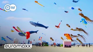 Biggest Kite Festival in Europe  Up in the Air in BercksurMer France [upl. by Guyer523]