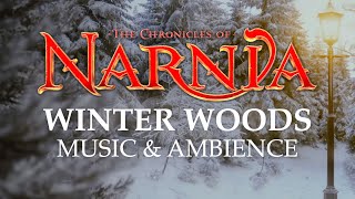 Chronicles of Narnia  Peaceful Winter Woods Music amp Ambience in 4K [upl. by Nosnarb664]