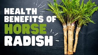 Health benefits of Horseradish Medicine hidden in a vegetable [upl. by Regdirb]