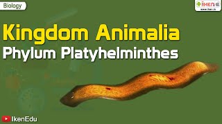 Kingdom Animalia Phylum Platyhelminthes  Biology  iKen  iKenEdu  iKenApp [upl. by Nedap]