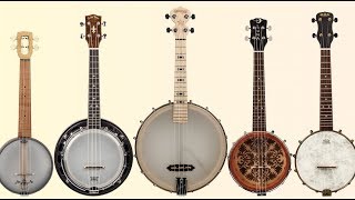 Review Banjo Ukes from Deering Kala Luna Gold Tone and Magic Fluke [upl. by Derman]