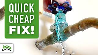 How To Fix A Main Water Shutoff Valve Leak [upl. by Haland403]