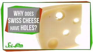 Why Does Swiss Cheese Have Holes [upl. by Aneekas503]