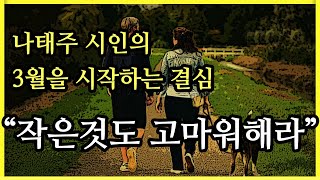 quot작은것에도 고마워해라quot 나태주 시인의 3월을 시작하는 결심 [upl. by Judus]