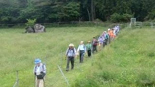 八ヶ岳山系「天女山」～「美し森山」トレッキング [upl. by Assyn]