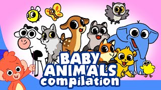 Learn Animals for Kids  Animal Babies Cartoon for children  Newborn Animal Cartoons [upl. by Masson583]