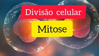 Divisão celular Mitose fases da mitoseBiologia na UEM UP ISCISAUniZambeze Unilúrio ENEM [upl. by Azenav]