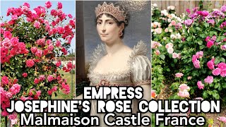 ROSE COLLECTION EMPRESS JOSEPHINE of FRANCE MALMAISON CASTLE of NAPOLEON BONAPARTE [upl. by Edelstein241]