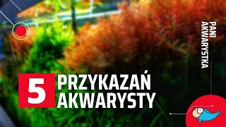 5 błędów przy zakładaniu akwarium  Pani Akwarystka [upl. by Lorene]