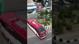 Bus borlindo keluar dari karoseri new armada bus automobile bussulawesi autobús busmania yol [upl. by Akkinahs414]