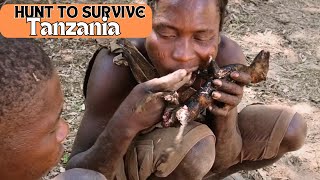 TANZANIA SEE HOW THIS AFRICAN TRIBE HUNT TO SURVIVE IN TANZANIAS WILDERNESS [upl. by Latouche]