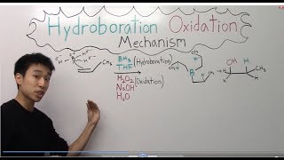 Hydroboration Oxidation Mechanism Made Easy  Part 1   Organic Chemistry [upl. by Ragde]