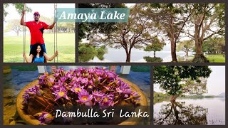 Amaya Lake Dambulla Discovering Sri Lanka’s Lakeside Paradise [upl. by Hnoj]