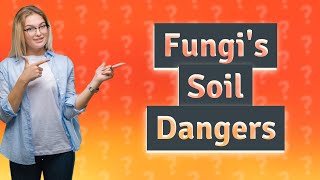 What are the negative effects of fungi in soil [upl. by Kirstyn]