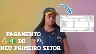 recebi meu pagamento do primeiro setor IBGE [upl. by Nylia]