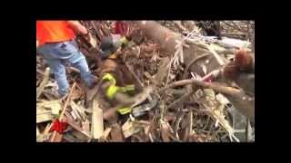 Tuscaloosa Tornado Disaster Relief [upl. by Lewes790]