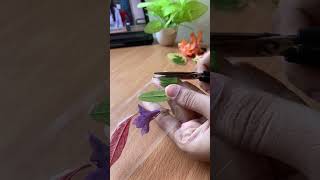 Diy pressed flowers 🌺✨art drawingtutorial journaling aesthetic aestheticvideo flowers [upl. by Flosser]