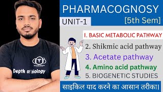 basic metabolic pathway  Shikmic acid pathway  acetate and amino acid pathway  biogenetic studies [upl. by Ecerahs]