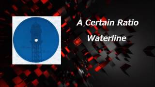 A Certain Ratio  Waterline [upl. by Windzer]