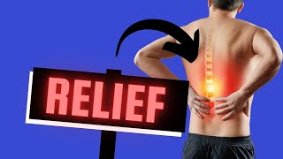 Top 3 Physical Therapy Stretches for Back Pain Relief [upl. by Aliahkim]