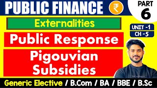 Pigouvian Subsidies  Public Response  Externalities  Public Finance GE  Bcom H GE amp BA Sem 46 [upl. by Angel311]