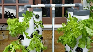 DIY Vertical Hydroponic System using 4 Towers Part 3  hydroponic farming at home [upl. by Melak910]