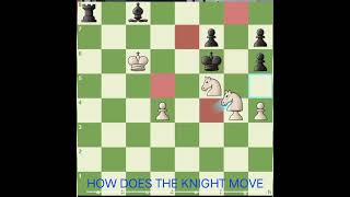 chesscom lichess brilliantmovechessgame gaming chesspuzzle [upl. by Garnes961]