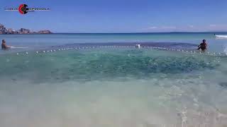 Pesca ARTESANAL De Rede No Canto Da PRAIA GRANDE EM ARRAIAL DO CABO RJ BRASIL 🇧🇷 [upl. by Martine285]