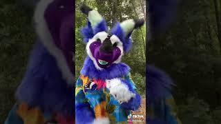 ꒰꒰﹕・Manokit Fursuit Tiktok Compilation [upl. by Yecaw]