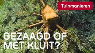 Kies je een gezaagde kerstboom of een boom met kluit  Kerst  Tuinmanieren [upl. by Pellikka]