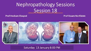 Nephropathology session 18 IF [upl. by Veta]